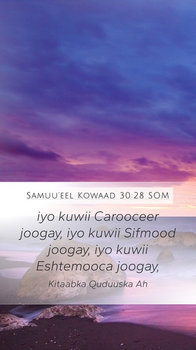 Samuu'eel Kowaad 30:28 SOM Bible Verse Image