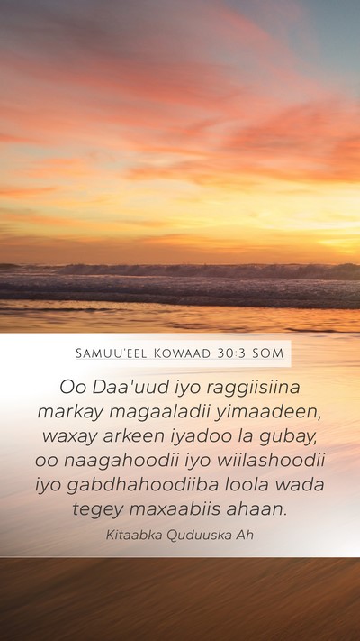 Samuu'eel Kowaad 30:3 SOM Bible Verse Image