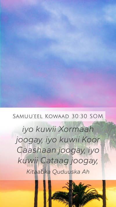 Samuu'eel Kowaad 30:30 SOM Mobile Phone Wallpaper - iyo kuwii Xormaah joogay, iyo kuwii Koor Caashaan - Mobile Bible Verse Wallpaper