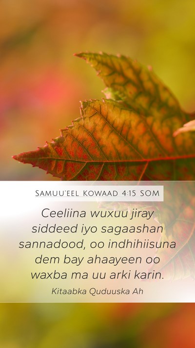 Samuu'eel Kowaad 4:15 SOM Bible Verse Image