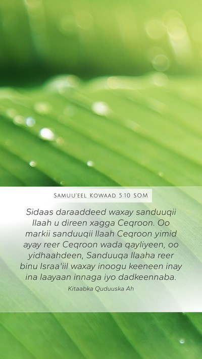 Samuu'eel Kowaad 5:10 SOM Bible Verse Image