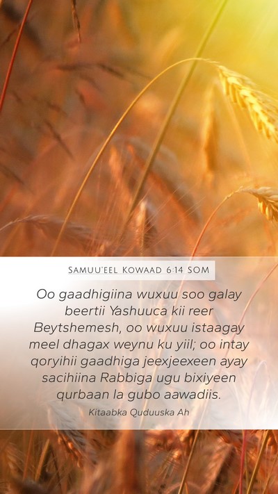 Samuu'eel Kowaad 6:14 SOM Bible Verse Image