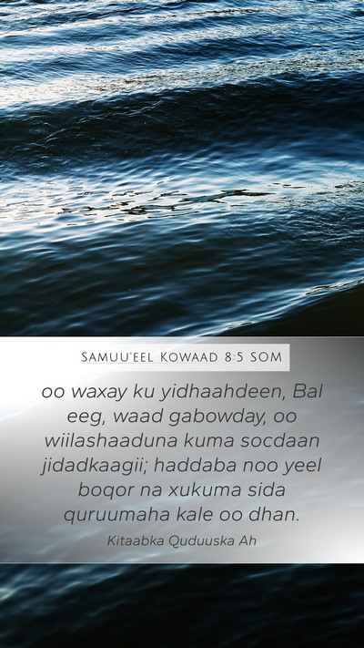 Samuu'eel Kowaad 8:5 SOM Bible Verse Image