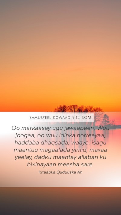 Samuu'eel Kowaad 9:12 SOM Bible Verse Image