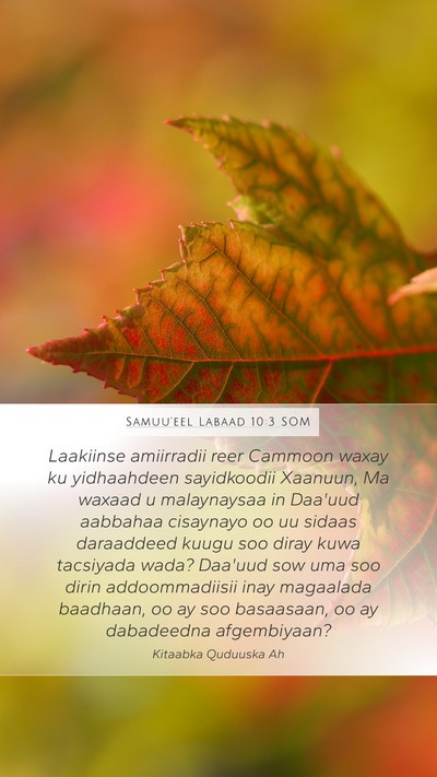 Samuu'eel Labaad 10:3 SOM Mobile Phone Wallpaper - Laakiinse amiirradii reer Cammoon waxay ku - Mobile Bible Verse Wallpaper