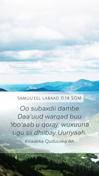 Samuu'eel Labaad 11:14 SOM Bible Verse Image