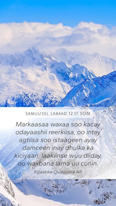 Samuu'eel Labaad 12:17 SOM Bible Verse Image