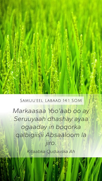 Samuu'eel Labaad 14:1 SOM Mobile Phone Wallpaper - Markaasaa Yoo'aab oo ay Seruuyaah dhashay ayaa - Mobile Bible Verse Wallpaper