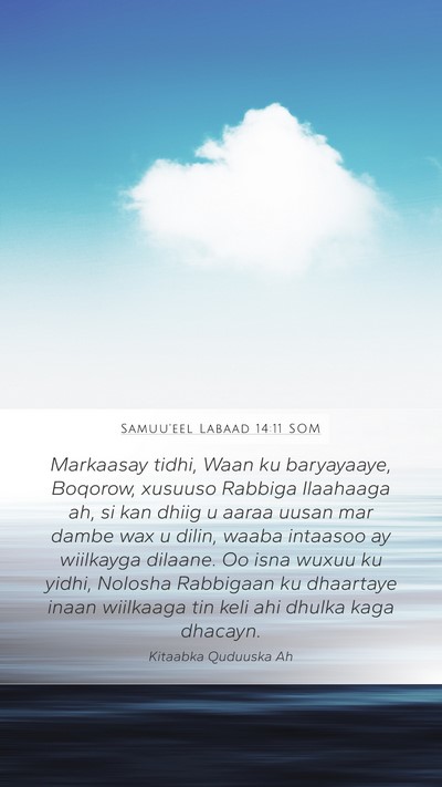 Samuu'eel Labaad 14:11 SOM Bible Verse Image