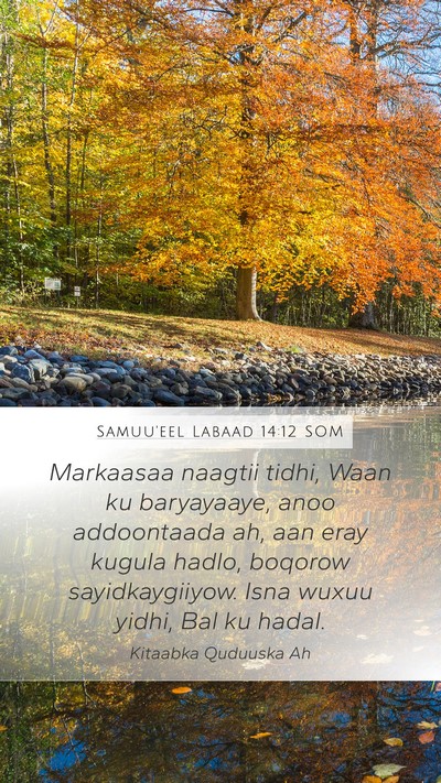 Samuu'eel Labaad 14:12 SOM Bible Verse Image