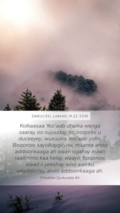 Samuu'eel Labaad 14:22 SOM Bible Verse Image