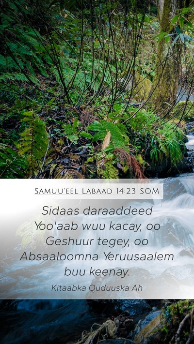 Samuu'eel Labaad 14:23 SOM Bible Verse Image