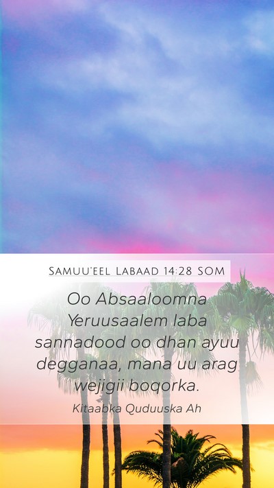 Samuu'eel Labaad 14:28 SOM Bible Verse Image