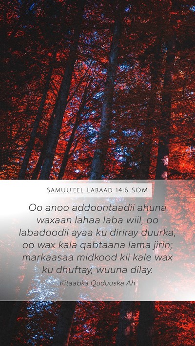 Samuu'eel Labaad 14:6 SOM Bible Verse Image