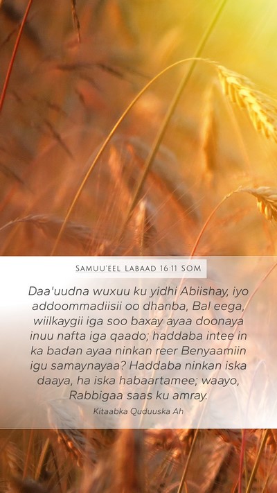 Samuu'eel Labaad 16:11 SOM Bible Verse Image