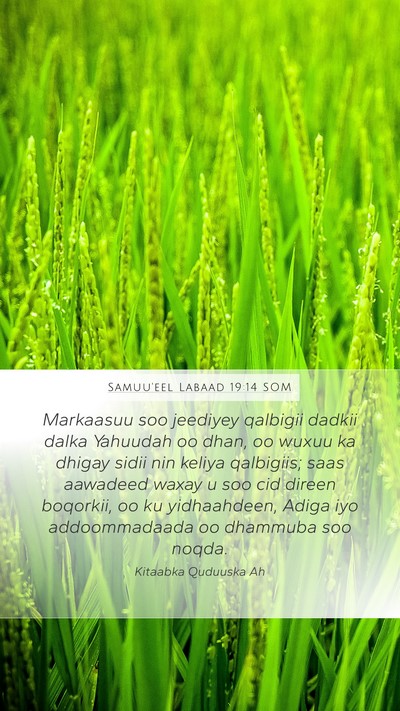 Samuu'eel Labaad 19:14 SOM Bible Verse Image