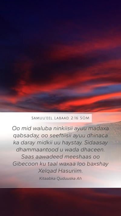 Samuu'eel Labaad 2:16 SOM Bible Verse Image