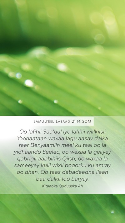 Samuu'eel Labaad 21:14 SOM Bible Verse Image