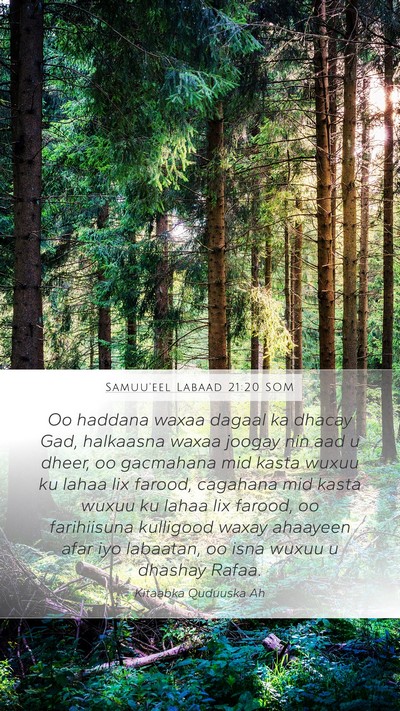 Samuu'eel Labaad 21:20 SOM Bible Verse Image