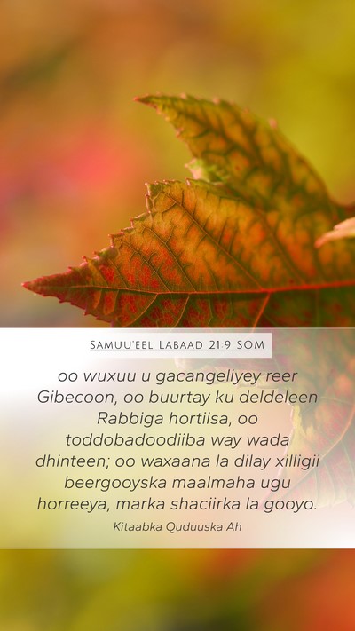 Samuu'eel Labaad 21:9 SOM Bible Verse Image