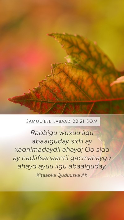 Samuu'eel Labaad 22:21 SOM Mobile Phone Wallpaper - Rabbigu wuxuu iigu abaalguday sidii ay - Mobile Bible Verse Wallpaper