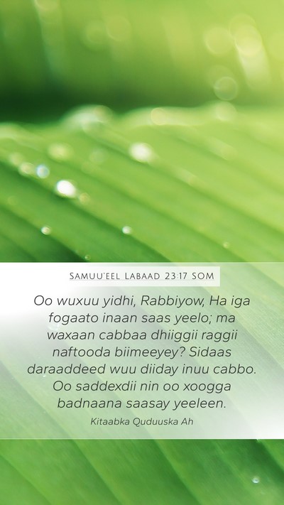 Samuu'eel Labaad 23:17 SOM Bible Verse Image