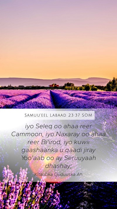 Samuu'eel Labaad 23:37 SOM Bible Verse Image