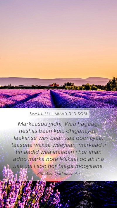 Samuu'eel Labaad 3:13 SOM Bible Verse Image