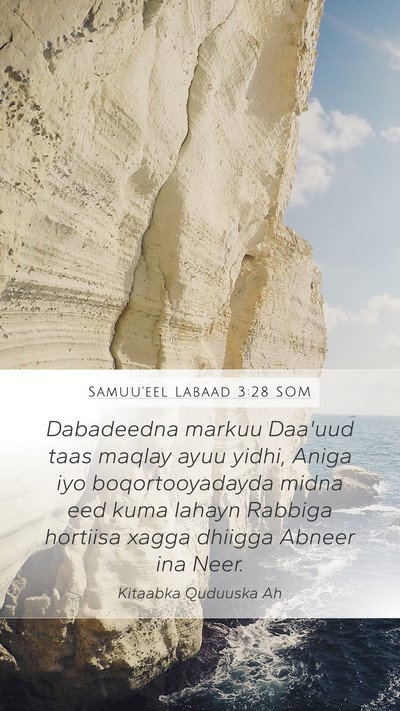 Samuu'eel Labaad 3:28 SOM Bible Verse Image