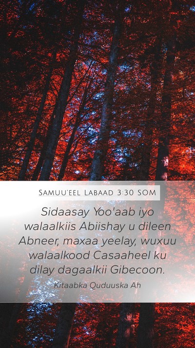 Samuu'eel Labaad 3:30 SOM Bible Verse Image