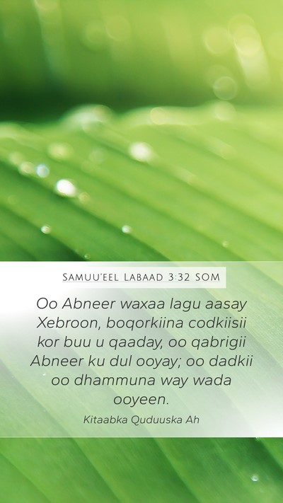 Samuu'eel Labaad 3:32 SOM Bible Verse Image