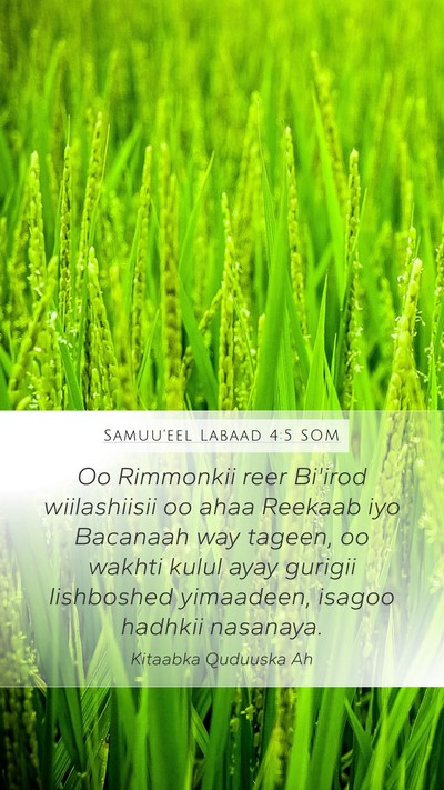 Samuu'eel Labaad 4:5 SOM Bible Verse Image