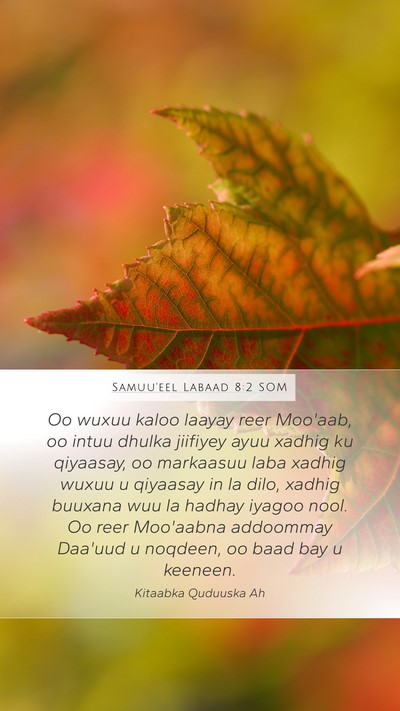 Samuu'eel Labaad 8:2 SOM Bible Verse Image