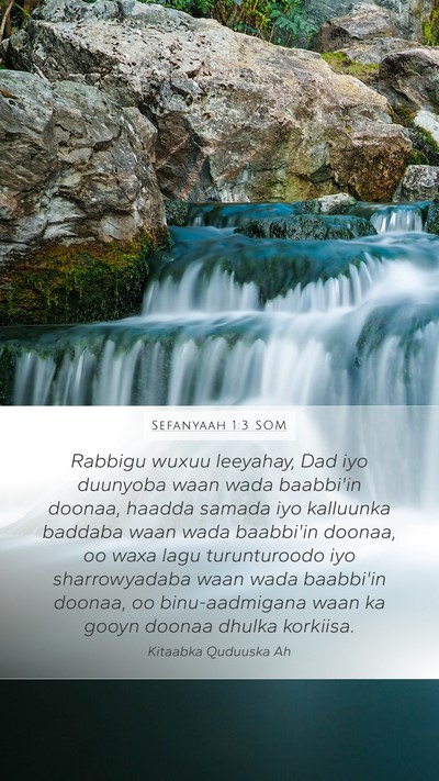 Sefanyaah 1:3 SOM Bible Verse Image