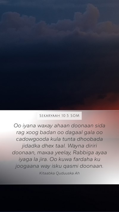 Sekaryaah 10:5 SOM Bible Verse Image