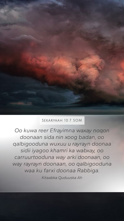 Sekaryaah 10:7 SOM Bible Verse Image