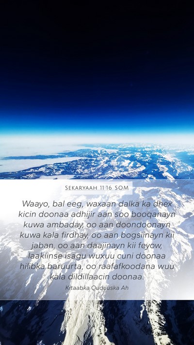 Sekaryaah 11:16 SOM Bible Verse Image