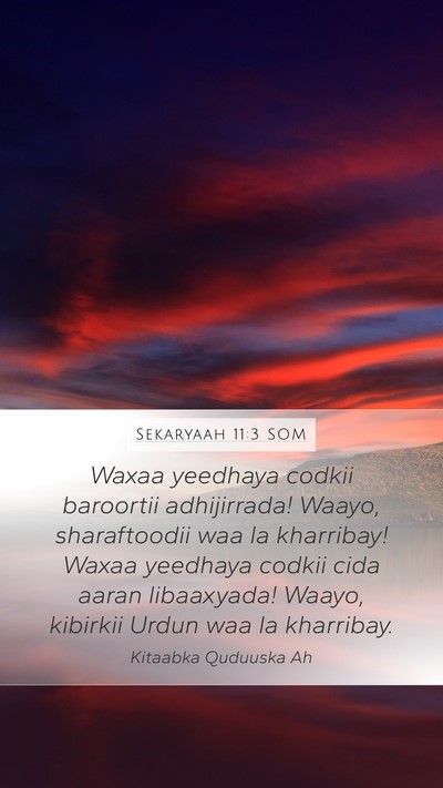 Sekaryaah 11:3 SOM Bible Verse Image