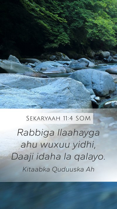 Sekaryaah 11:4 SOM Bible Verse Image