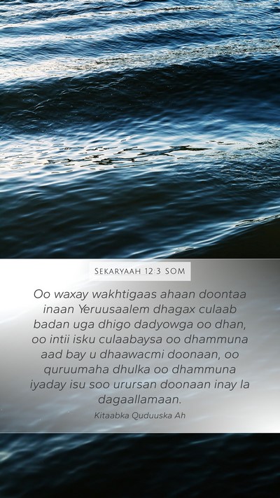 Sekaryaah 12:3 SOM Bible Verse Image