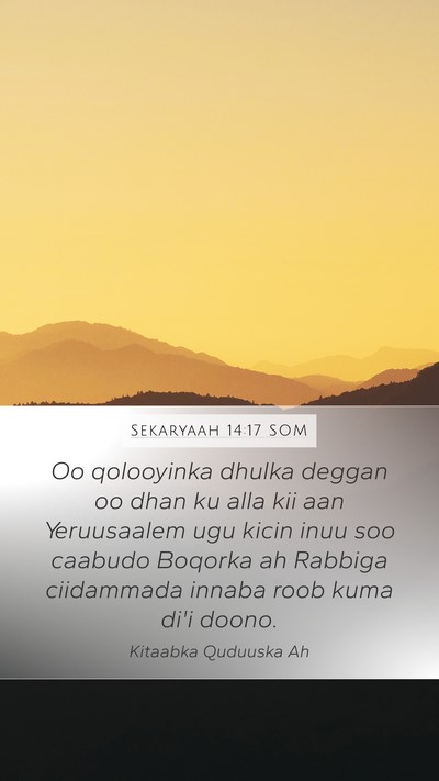 Sekaryaah 14:17 SOM Mobile Phone Wallpaper - Oo qolooyinka dhulka deggan oo dhan ku alla kii - Mobile Bible Verse Wallpaper