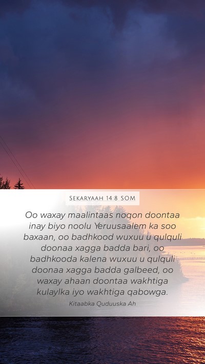 Sekaryaah 14:8 SOM Bible Verse Image