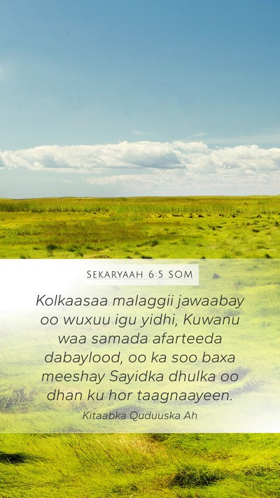 Sekaryaah 6:5 SOM Bible Verse Image