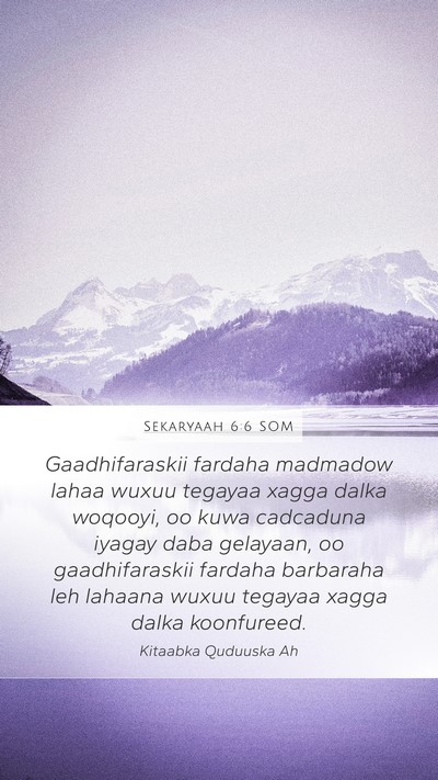 Sekaryaah 6:6 SOM Bible Verse Image