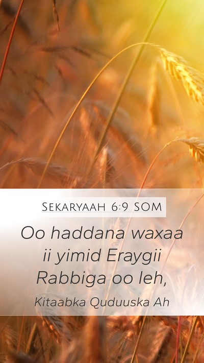 Sekaryaah 6:9 SOM Mobile Phone Wallpaper - Oo haddana waxaa ii yimid Eraygii Rabbiga oo - Mobile Bible Verse Wallpaper