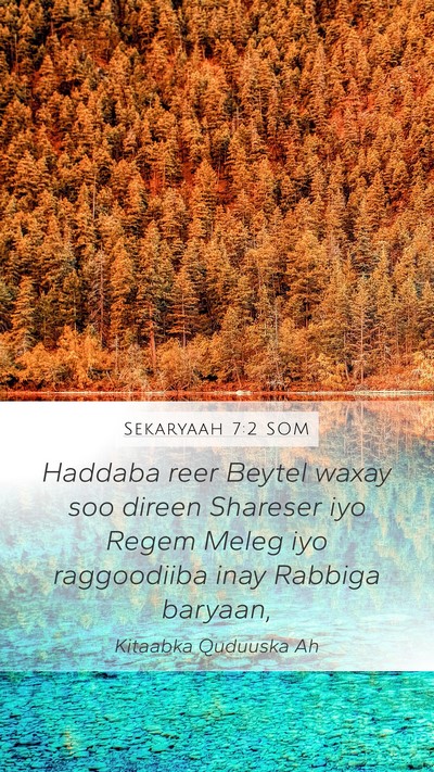 Sekaryaah 7:2 SOM Mobile Phone Wallpaper - Haddaba reer Beytel waxay soo direen Shareser iyo - Mobile Bible Verse Wallpaper