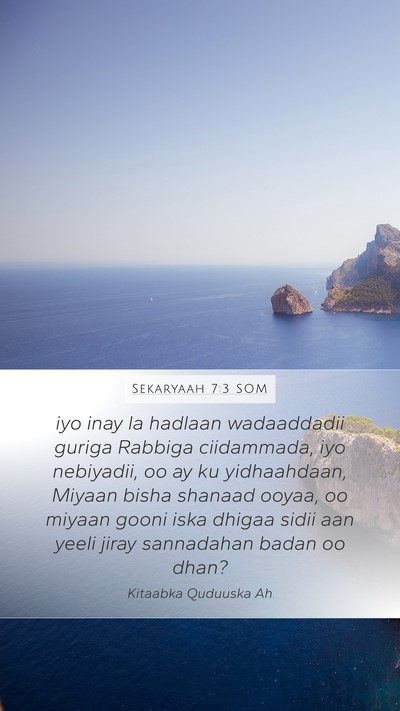 Sekaryaah 7:3 SOM Bible Verse Image
