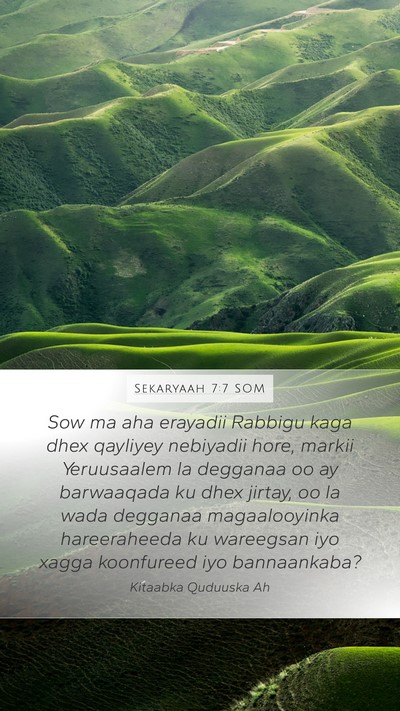 Sekaryaah 7:7 SOM Bible Verse Image