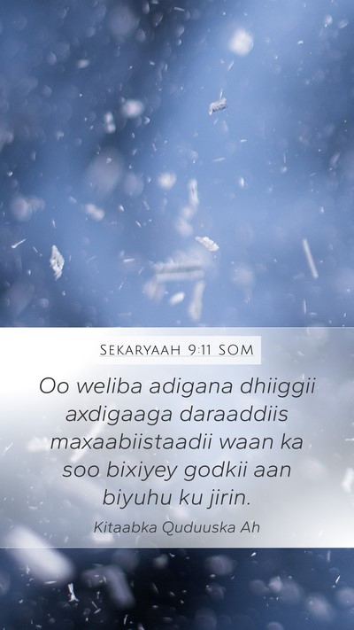 Sekaryaah 9:11 SOM Bible Verse Image
