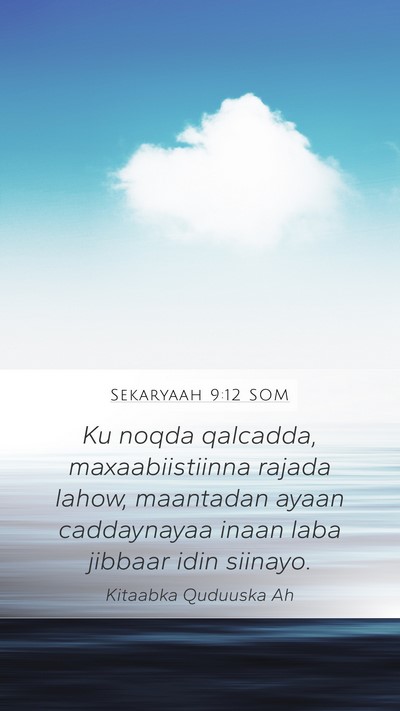 Sekaryaah 9:12 SOM Bible Verse Image
